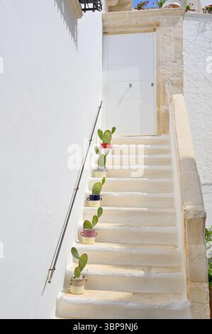 Außentreppe zu einem Haus mit weißer geschlossener Eingangstür und Kakteen, die in bunten Blumentöpfen auf den Stufen stehen. Locorotondo, Italien. Stockfoto