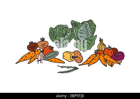 Setzen Sie botanische dekorative verschiedene Gemüse isoliert auf weißem Hintergrund. Handgezeichneter Cartoon farbenfrohe Gemüse mit Kohl Karotten Erbsen Pfefferzwiebeln Stock Vektor
