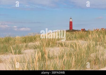 Leuchtend roter Leuchtturm auf der Dünenspitze auf der Insel Texel, Niederlande. Dünen und Dünengras mit Ohren vor einem blauen Himmel mit Wolken. Stockfoto