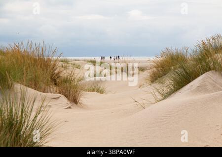 Blick zwischen den Dünen mit Gras bis zum Meer am Horizont. Mit ein paar Leuten in der Ferne. Stockfoto