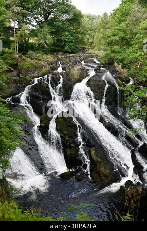 Swallow Falls in Wales, am Fluss Llugwy in der Nähe von Betws-y-Coed im Conwy County Borough. Stockfoto
