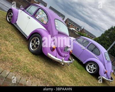Zwei klassische Volkswagen-Käfer im Vintage-Stil auf Gras mit farbenfrohen Lackierungen und glänzenden Chromdetails Stockfoto