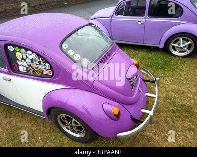 Zwei klassische Volkswagen-Käfer im Vintage-Stil auf Gras mit farbenfrohen Lackierungen und glänzenden Chromdetails Stockfoto