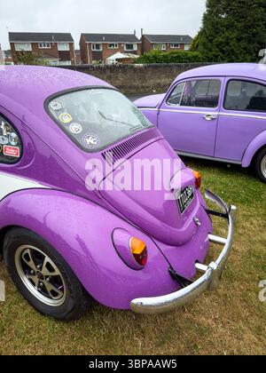 Zwei klassische Volkswagen-Käfer im Vintage-Stil auf Gras mit farbenfrohen Lackierungen und glänzenden Chromdetails Stockfoto