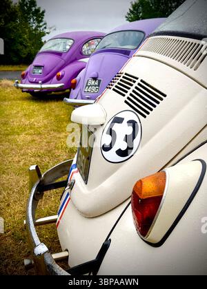 Drei Volkswagen-Oldtimer-Käfer parken in einer Reihe auf Rasen und zeigen das legendäre Oldtimer-Design und leuchtende Farben Stockfoto