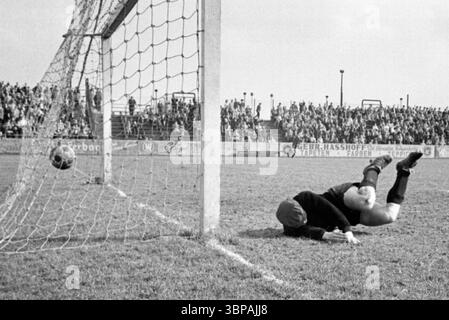 60er Jahre, Sport, Fußball, Regionalliga West, 1964/1965, 11.04.1965, Sportfreunde Hamborn 07 gegen Borussia Mönchengladbach 1:3, August Thyssen Stadion in Duisburg-Bruckhausen, Tor zu Gladbach, Torhüter Franz Josef Sarna (07) wird geschlagen Stockfoto