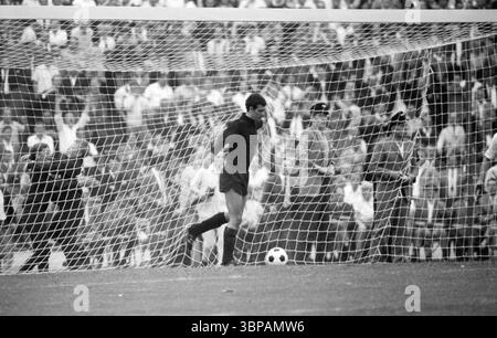 60er Jahre, Sport, Fußball, Regionalliga West, Stadtliga Berlin, 1965/1966, Aufstiegsspiel zur Bundesliga 1966/1967, Fortuna Düsseldorf gegen Hertha BSC Berlin 4-1, 12.06.1966, Rheinstadion Düsseldorf, Tor gegen Fortuna, Torhüter Wolfgang Fahrian (Hertha) holt den Ball aus dem Tornetz Stockfoto