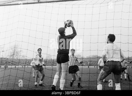 60er Jahre, Sport, Fußball, Regionalliga West, 1966/1967, 13.11.1966, Niederrhein-Stadion Oberhausen, Rot-Weiss Oberhausen gegen Alemannia Aachen 3:2, Spielszene, Torraum, f.l.t.r. Franz Krauthausen (RWO), Torhüter Helmut Traska (RWO), Josef Thelen (Aachen), Friedhelm Kobluhn (RWO) Stockfoto