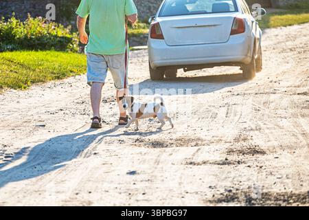 Gehen Sie mit einem Hund, Jack russell Terrier an der Leine. Sicherheitsvorkehrungen und -Regeln Stockfoto