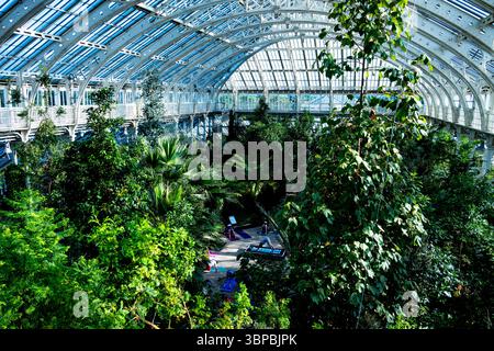 Gemäßigtes Haus mit seltenen und bedrohten Pflanzen im größten viktorianischen Gewächshaus der Welt. Royal Botanic Gardens, Kew. Stockfoto