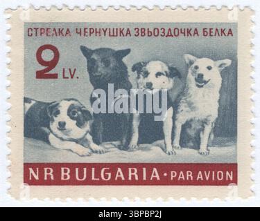 BULGARIEN — 28. Juni 1961: 2 Lewa-Schiefer und dunkle Carmin Air Post-Stempel, die sowjetische Weltraumhunde darstellen. In den 1950er und 1960er Jahren setzte das sowjetische Raumfahrtprogramm Hunde für suborbitale und orbitale Raumflüge ein, um festzustellen, ob eine menschliche Raumfahrt durchführbar ist. In dieser Zeit startete die Sowjetunion Missionen mit Passagierplätzen für mindestens 57 Hunde, die wenigen, die starben, verloren meist durch technische Fehler. Eine bemerkenswerte Ausnahme ist Laika, das erste Tier, das in den Orbit geschickt wurde, dessen Tod während der Mission Sputnik 2 vom 3. November 1957 von Anfang an erwartet wurde Stockfoto