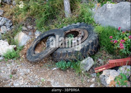 Alte Autoreifen liegen in der Natur am Straßenrand Stockfoto