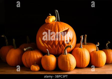 Geschnitzte Jack-o-Laterne umgeben von Mini-orangen Kürbissen auf schwarzem Hintergrund in Halloween-Einrichtung. Festliche Herbsteinrichtung mit gruseliger Stimmung und saisonaler Feier Stockfoto