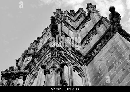 Wasserspeier und verzierte Steinmetze krönten den Kölner Dom, dargestellt in Schwarz-weiß von unten, enthüllen gotische Linien, Schattenspiele und epische Präsenz. Stockfoto