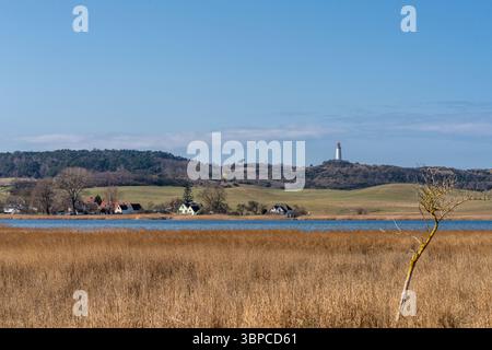 Blick vom Alten Bessin in Richtung Grieben auf Hiddensee mit dem Leuchtturm Dornbusch im Hintergrund, Mecklenburg-Vorpommern, Deutschland, Europa Stockfoto