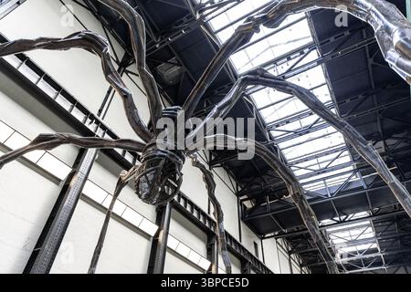 „Maman“ (1999) riesige Spinnenskulptur von Louise Bourgeois bei Tate Modern's 25th Birthday Weekender, London, England Stockfoto