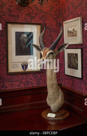 Purdey & Sons wurde 1814 gegründet, um Sportgewehre und -Gewehre sowie luxuriöse Kleidung und Accessoires zu kreieren. Stockfoto