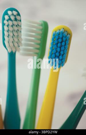 Verschiedene Farbzahnbürsten in einem Halter für die Mundhygiene Stockfoto