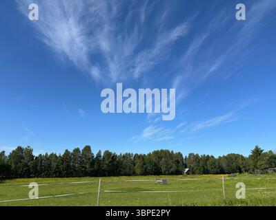 Der hellblaue Himmel ist voller zarter, weißer Wolken über einer grünen Landschaft. Stockfoto