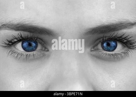 Die hellblauen Augen der Frau sind in einem grauen Nahporträt mit gewölbten Augenbrauen zu sehen Stockfoto