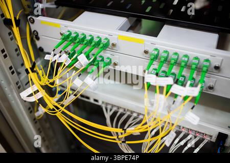 Das LWL-Patchfeld wird in flacher Bauweise mit gelben Kabeln und grünen Steckverbindern gezeigt Stockfoto