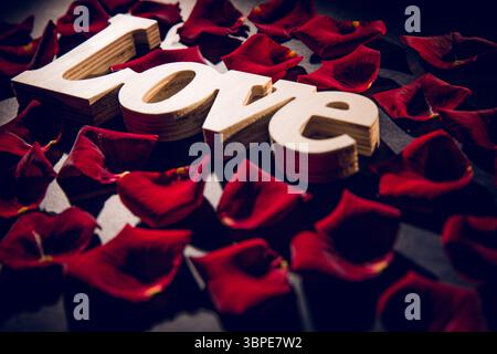 Holzbuchstaben, die Liebe schreiben, liegen im 3D-Rendering auf dunkler matter Oberfläche mit roten Blüten Stockfoto