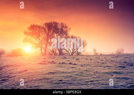 Fantastisches nebeliges Feld mit frischem grünem Gras im Sonnenlicht. Ungewöhnliche und malerische Szene. Lage Ort Seret River, Ternopil. Ukraine, Europa. Be Stockfoto