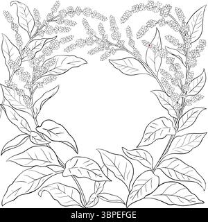 Amaranth Zweig mit Blumenkontur. Stock Vektor