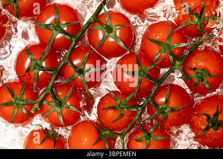 Gemüsehintergrund mit frischen ganzen Tomaten im Wasser, Spritzer Wasser, Blick von oben Stockfoto