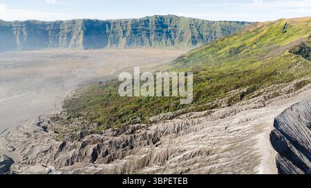 Aus der Vogelperspektive des Bromo-Tengger-Semeru Nationalparks trifft auf lebendige grüne Vegetation in einem atemberaubenden natürlichen Kontrast, Mount Bromo, Ost-Java, Indonesien. Stockfoto
