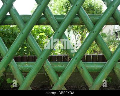 Grüner alter Pflückzaun, der einen Garten umschließt. Rustikales Holz mit Patina. Ideal als Hintergrund. Kopierraum. Stockfoto