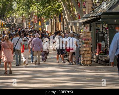Die berühmte Promenade La Rambla ist voller Touristen, die Souvenirkioske im Schatten der Platanen in Barcelona, Spanien, stöbern. Stockfoto