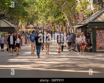 Sonnenlicht zieht durch die Bäume, die La Rambla säumen, und wirft lange Schatten, während die Menschen entlang des berühmten Boulevards in Barcelona, Spanien, spazieren. Stockfoto