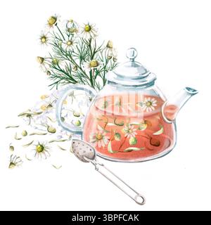 Zusammensetzung der transparenten Teekanne mit Kamillentee, Löffel zum Brauen und Kamillenstrauß. Isolierte Aquarellillustration zur Dekoration von t Stockfoto