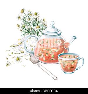 Zusammensetzung aus transparenter Teekanne und Tasse mit Kamillentee, Löffel zum Brauen und Bouquet. Isolierte Aquarellillustration zur Dekoration von Tee c Stockfoto