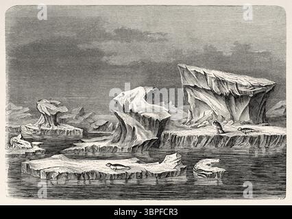 Labyrinth von Eisbergen, Grönland. Zweite deutsche Nordpolexpedition der Schiffe La Germania und La Hansa 1869-1870 durch Kapitän Paul Friedrich August Hegemann (1836–1913) Le Tour du Monde 1874 Stockfoto