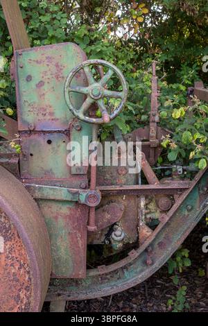Eine verlassene alte Aveling Barford Pioneer-Straßenwalze, die langsam in einer Essex-Hecke rostet (UK) Stockfoto