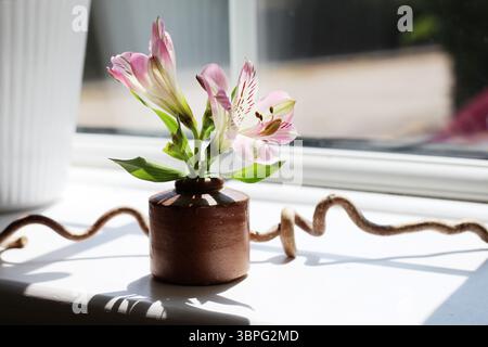 Ein kleiner Schnitt der Alstroemeria 'Summer Break' in einem kleinen Steingut-Topf (ein antikes Tintenfass) auf einer Fensterbank mit einem Stück gedrehtem Holz Stockfoto