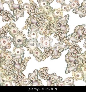 Nahtloses Muster der Unterwasserschwämme porifera, die an Korallenriffen leben. Aquarellabbildung in sanften Beigetönen auf weißem Hintergrund für marin Stockfoto