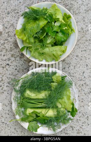 Großansicht von oben auf verschiedenen Grüns und Gurken auf zwei Platten in Längsrichtung in zwei Teile auf zwei Platten. Stockfoto