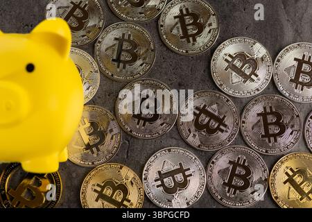 Eine gelbe Schweinebank, umgeben von Silber- und Gold-Bitcoin-Münzen auf einer strukturierten grauen Oberfläche. Das Bild symbolisiert digitale Währung, finanzielle Einsparungen, Stockfoto