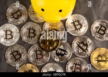 Eine gelbe Schweinebank, umgeben von Silber- und Gold-Bitcoin-Münzen auf einer strukturierten grauen Oberfläche. Das Bild symbolisiert digitale Währung, finanzielle Einsparungen, Stockfoto