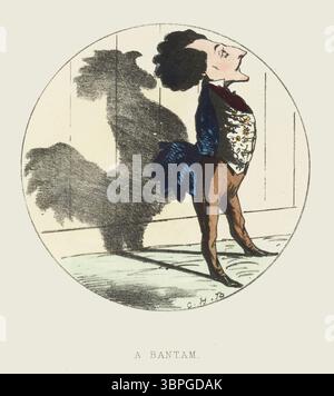 Humorvolle viktorianische Illustration mit dem Titel A Bantam, die einen kleinen Mann mit einer aufgeblähten Brust zeigt, der den Schatten eines Hahns wirft. Aus Schatten von Charles H. Bennett. London, England. Um 1856. Stockfoto