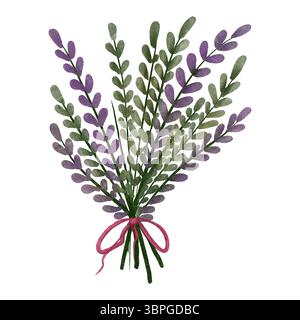Kräuter mit zarten Lavendelzweigen, die mit einem roten Band zusammengebunden sind. Diese botanische Illustration, handgezeichnet im Aquarellstil Stockfoto