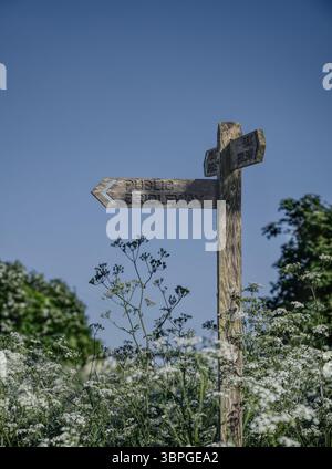 Öffentliche Brücke an einem Sommertag Stockfoto
