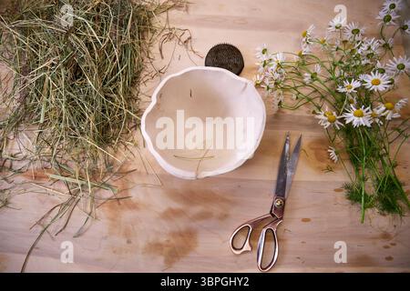 Florale Werkstattszene mit Keramikvase, Kenzan, Kamillenblüten und getrocknetem Gras auf einem Holztisch. Tageslicht und gemütliche, kreative Studioatmosphäre Stockfoto