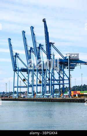 Blaue Ladeanschlusskrane in angehobener Auslegerposition ohne Arbeit während der wirtschaftlichen Verlangsamung im Leerlauf Stockfoto