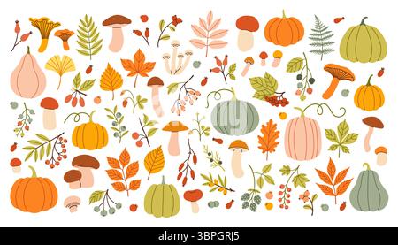 Großes Herbstset. Handgezeichnetes Vektorset Fallelemente. Herbstblätter, Pilze, Ahorn, Beeren, Eiche, Kürbisse. Erntezeit. Farbige trendige Illustration Stock Vektor