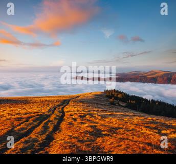 Herrlicher Blick auf die Berge, die mit dickem Nebel bedeckt sind. Lage Ort der Karpaten, Ukraine, Europa. Drohnenfotografie. Perfektes Naturwal Stockfoto