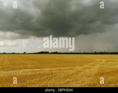 ...Blick auf ein Stopppelfeld, ueber dem sich dunkle Unwetterwolken verdicht... Gewitterwolken über Stoppelfeld *** Blick auf ein Stoppelfeld, über dem sich dunkle Sturmwolken sammeln Gewitterwolken über Stoppelfeld Stockfoto